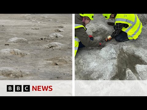 UK&#039;s biggest ever dinosaur footprint site discovered | BBC News