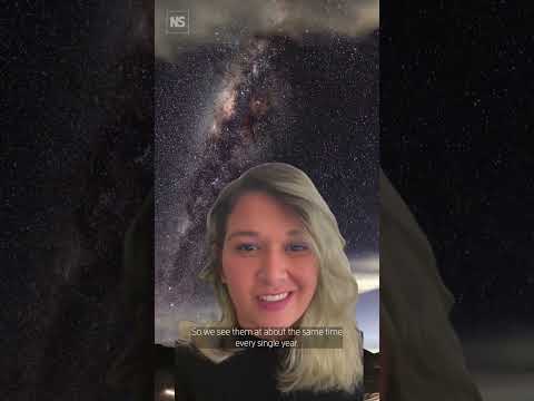 How to spot the 2025 Lyrid and Eta Aquariids meteor showers! 💫🌠